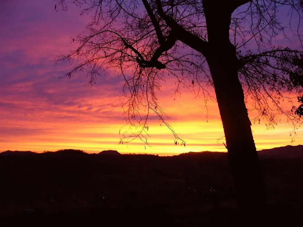 Agriturismo Ca' Isotta Villa Serravalle Farm stay